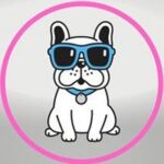 Pets Galore – Shelly Beach