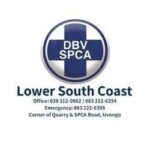 SPCA Charity Shop – Margate