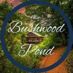 Bushwood Pond Bistro & Coffee shop