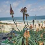 Driftsands Sea View Flats