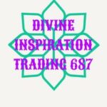 Divine Pest Control, Electrical and Solar Solutions  – Queensburgh